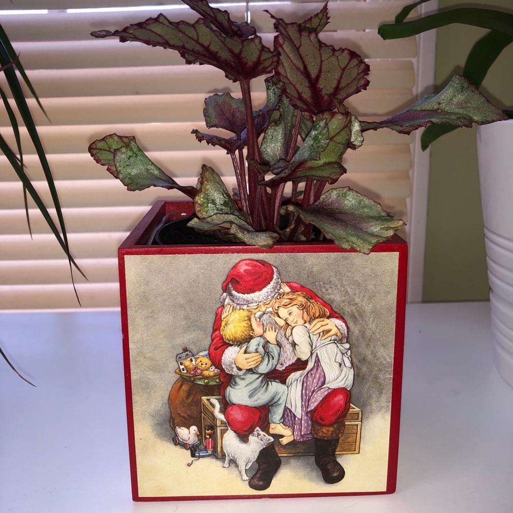 4” cube Santa planter